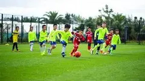 辉煌足迹，国安铁卫李磊荣耀战记：300场里程碑，国脚荣耀再升级！