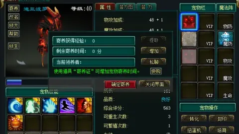 上海海港对阵河南队：历史交锋优势分析